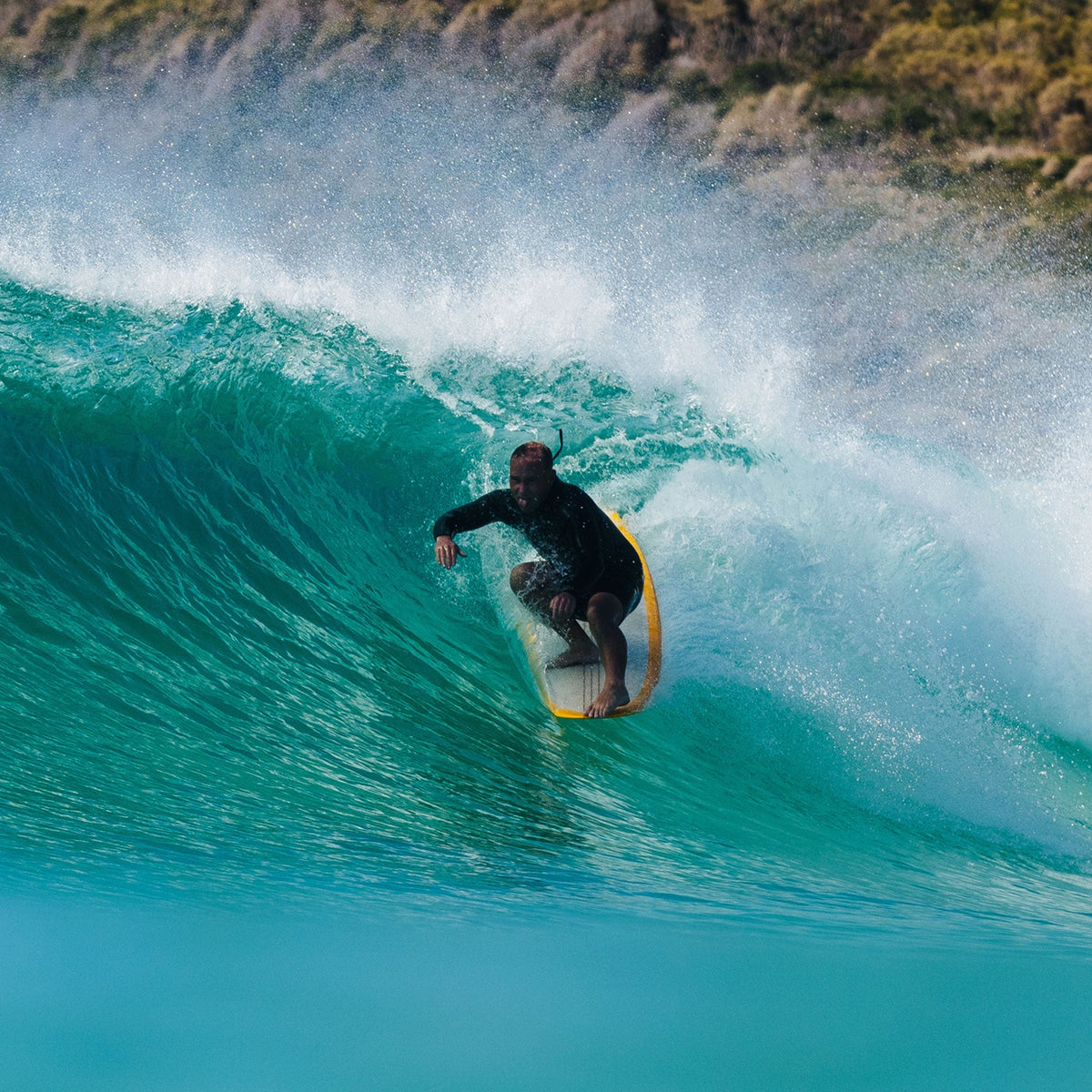 FCS II WAXHEAD LONGBOARD FIN - FCS JAPAN