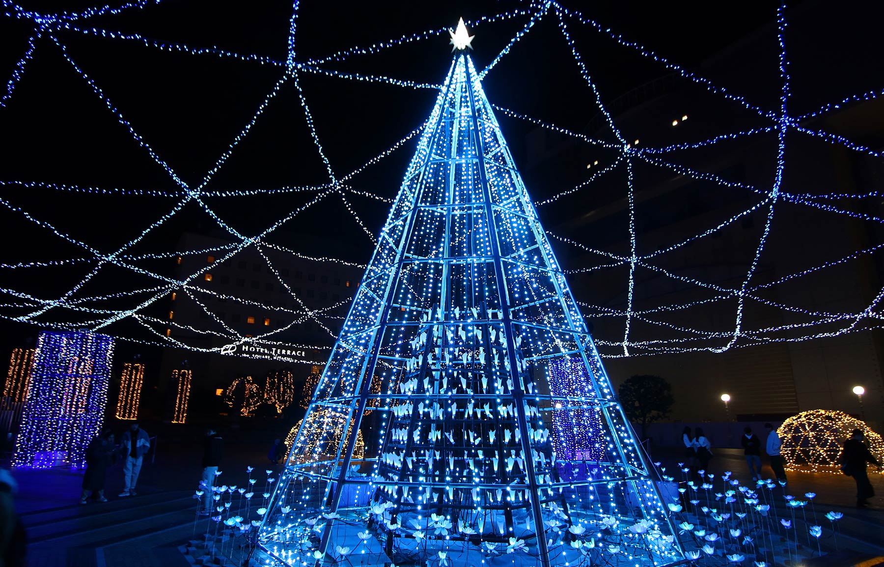 818030ae4e74ea068e3bcfe01e33d1