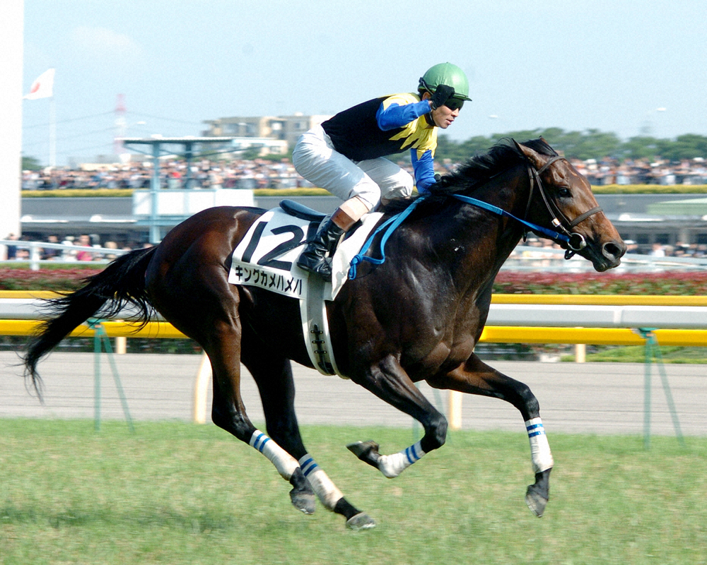 キングカメハメハが種牡馬引退 - スポニチ Sponichi Annex ギャンブル