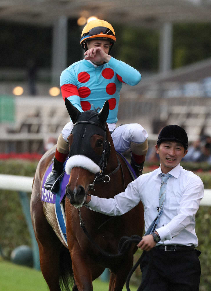 アーモンドアイミニゼッケン2019天皇賞・秋 ルメール騎手直筆サイン