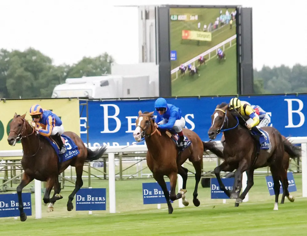 ハーツクライのキングジョージ3着 適性の前に絶対的能力 - スポニチ競馬Web