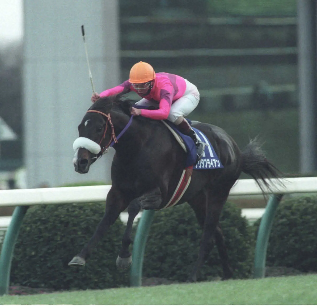 94年の有馬記念を制したナリタブライアン - スポニチ Sponichi Annex