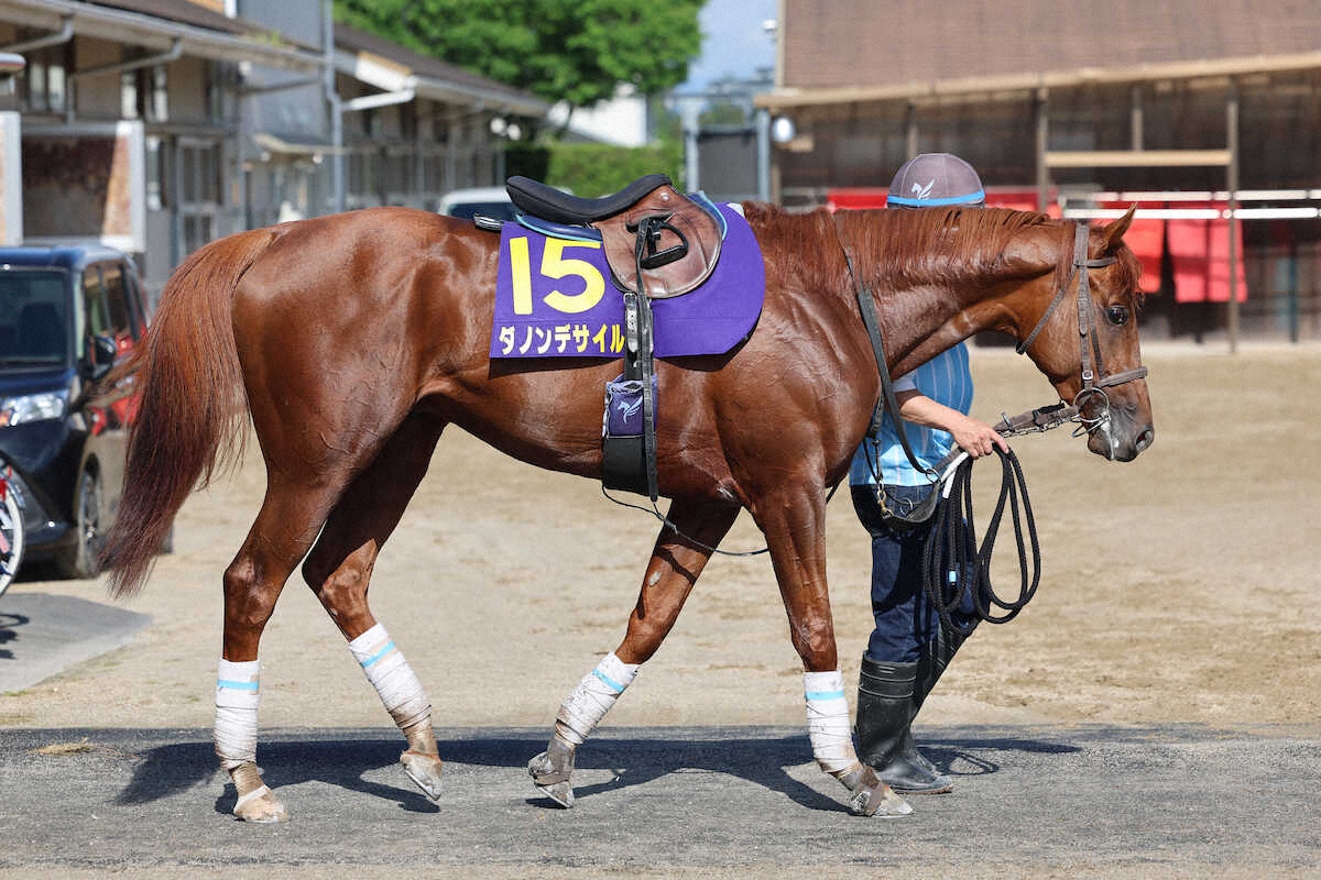 日本ダービー】ダノンデサイル87点 顔つきに活気ある - スポニチ競馬Web