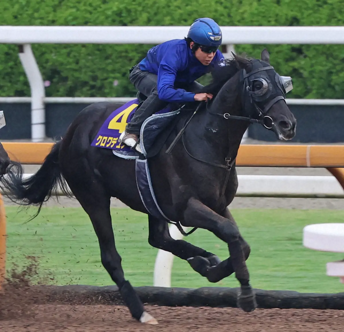 日本ダービー】クロワデュノール ロングスパート勝負だ! 地力比べの