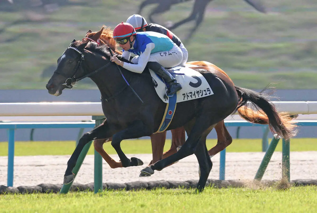 京都5R・新馬戦】 アドマイヤシュラがV Cデムーロ「凄く素質を感じる馬