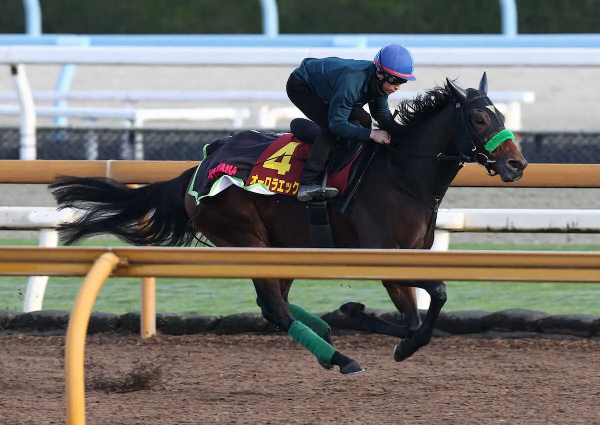 エリザベス女王杯】オーロラエックス 上昇アピール！杉山晴師
