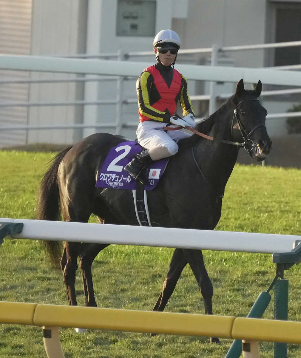 ジャパンC】クロワデュノールは4着 北村友「短期間の中で偉い馬。1番
