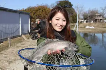 山口蛍 ハノーファー残留よりも厳しい選択 - スポニチ Sponichi Annex