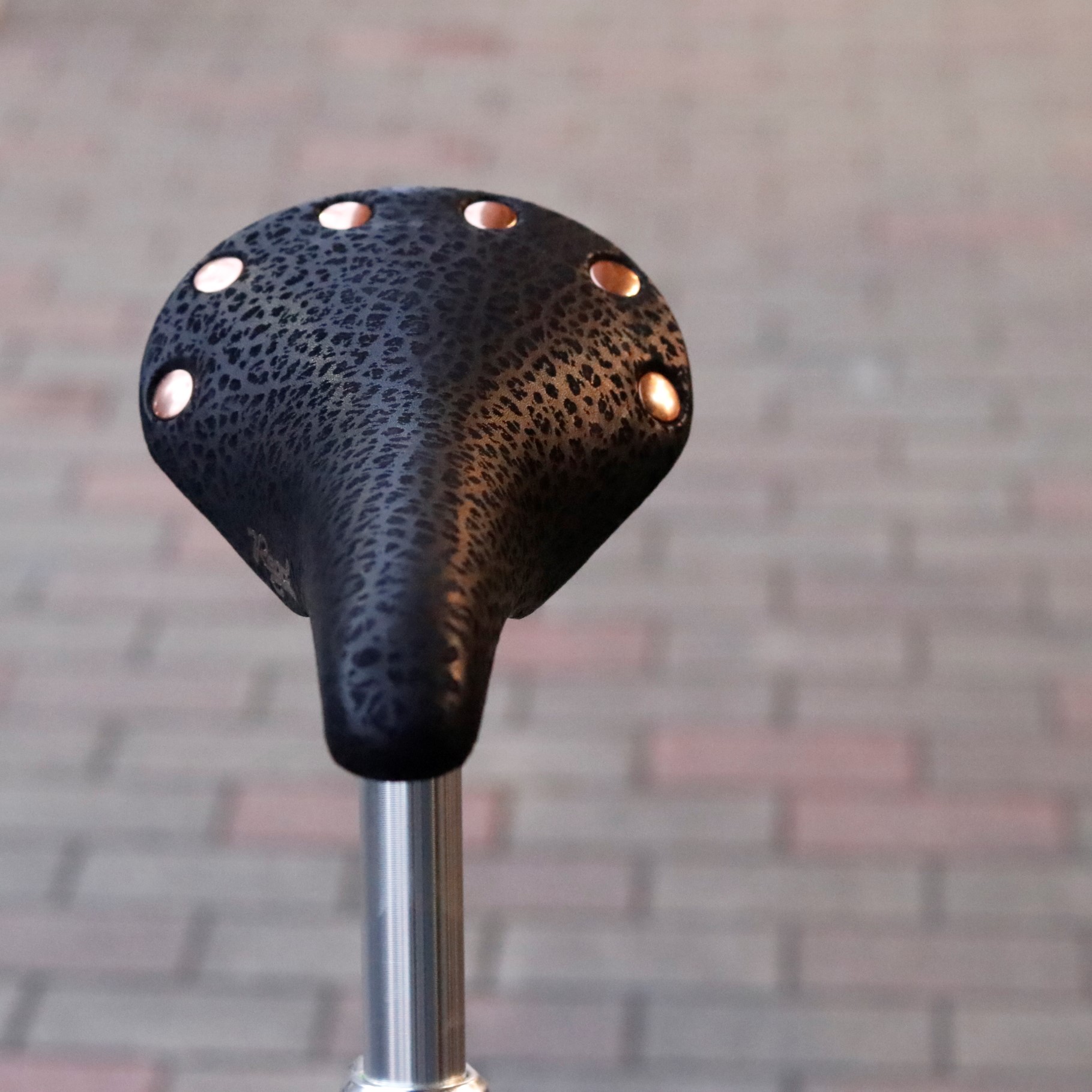 BLOG 変わる事無く数十年 永遠のベーシックサドル【selle sanmarco