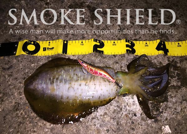 スクマニ X8-PE イエロー4m×グリーン1m 0.5-210m - エギングショップ