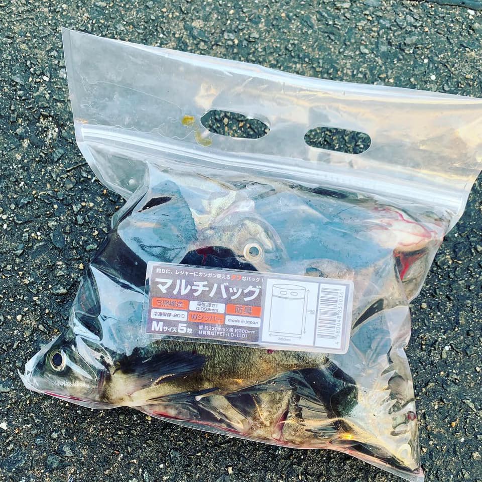 マルチバッグ Lサイズ (4枚入り) - エギングショップ SQUID MANIA