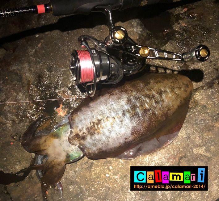 スクマニ X8-PE ピンク4m×SS1m 0.4-240m - エギングショップ SQUID MANIA