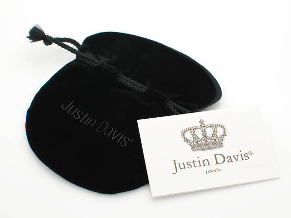 REGAL LION PENDANT/Justin Davis（ジャスティンデイビス） - DEFI