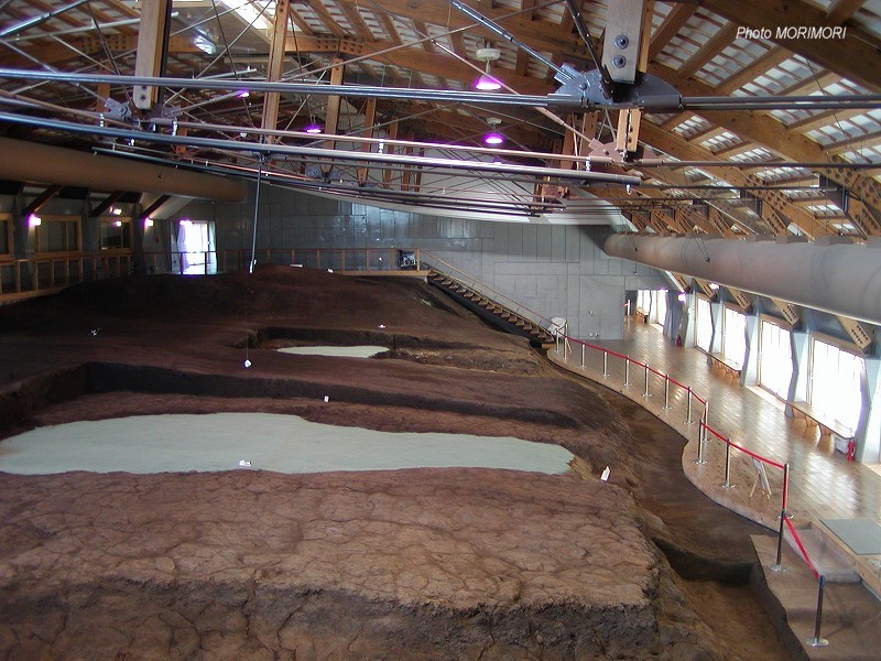 酒元ノ上横穴墓群｜西都原古墳群