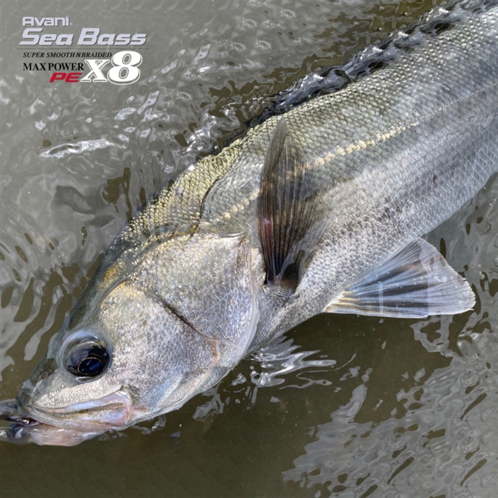 バリバス アバニ シーバス PE マックスパワー X8 150m 0.8号 ステルス