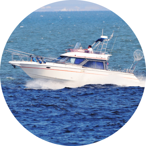 ダイワ 飛竜 イカダ 150P・V - 釣具のポイント 【公式】オンラインストア