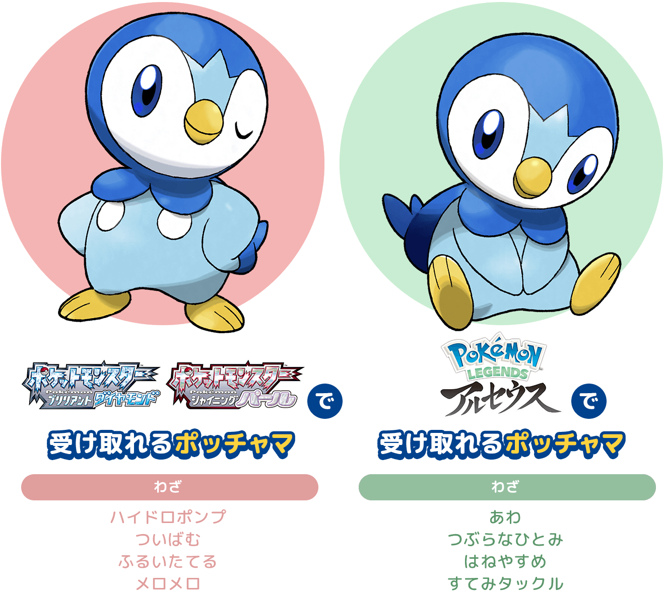 ポッチャマルシェ開催!! | プロジェクトポッチャマ