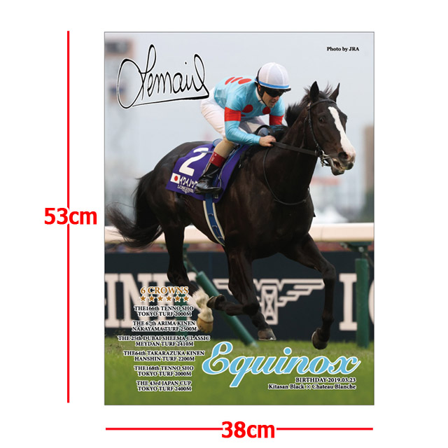 イクイノックス」6冠記念Ver.ジグソーパズル500ピース（ジャパンカップ）