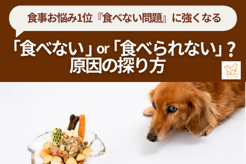 ペットフーディスト養成講座｜仕事に活きる犬猫の食事の専門家資格