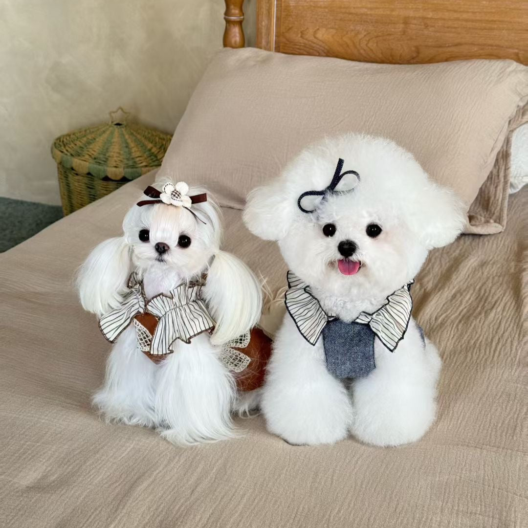 刺繍レース＆デニムフリルスリーブワンピース（初秋コレクション