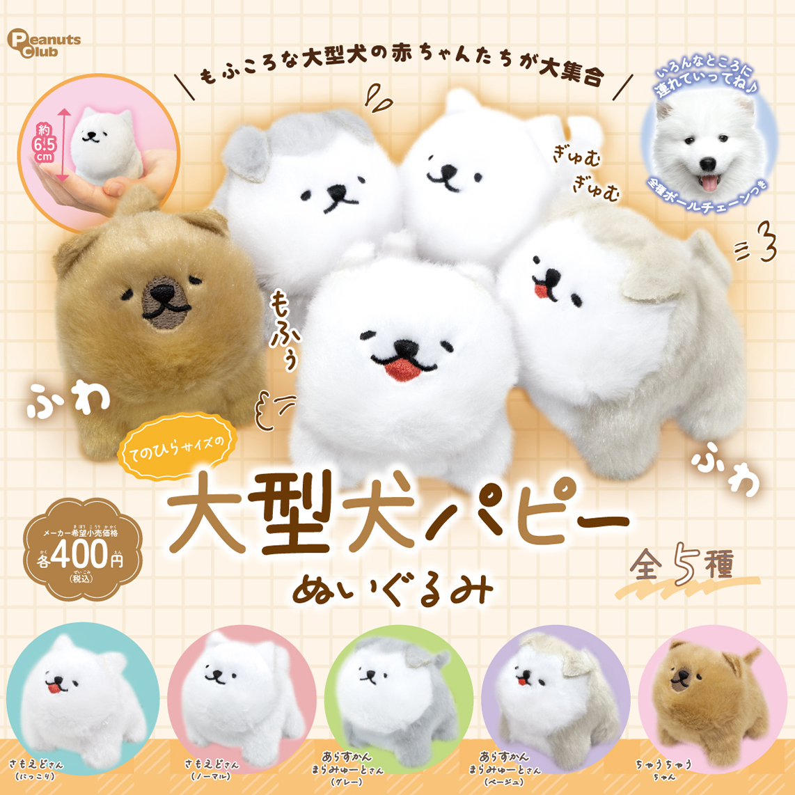 5.9わっさー犬型ぬいぐるみ 5.9わっさー犬型ぬいぐるみ 5.9わっさー犬