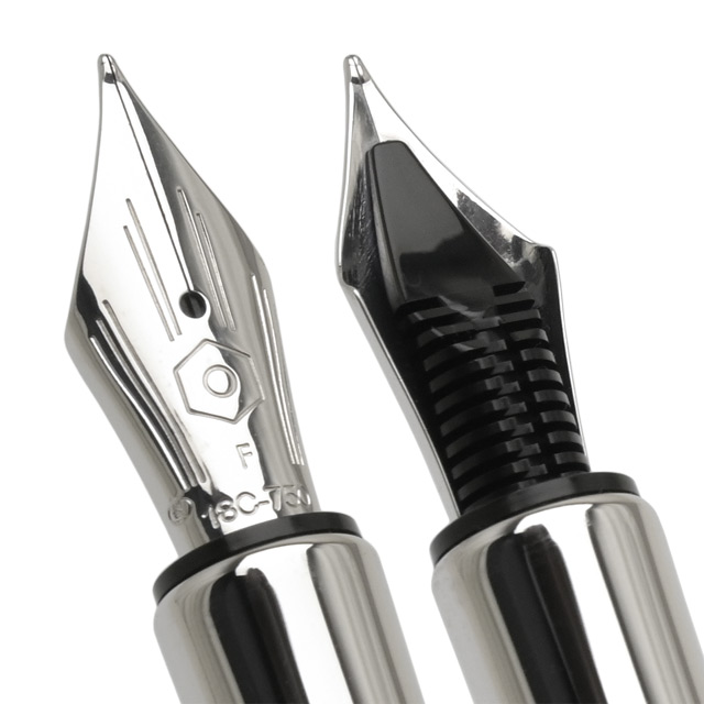 CARAN D'ACHE カランダッシュ 限定品 万年筆 バリアス エーデルワイス