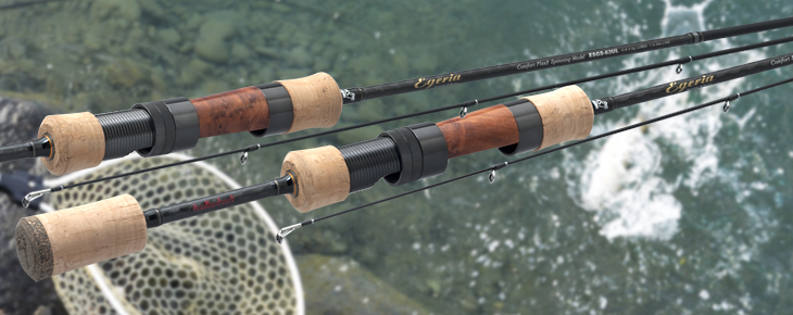 Egeria AREA PERFORMANCE / エゲリア エリアパフォーマンス ｜PALMS