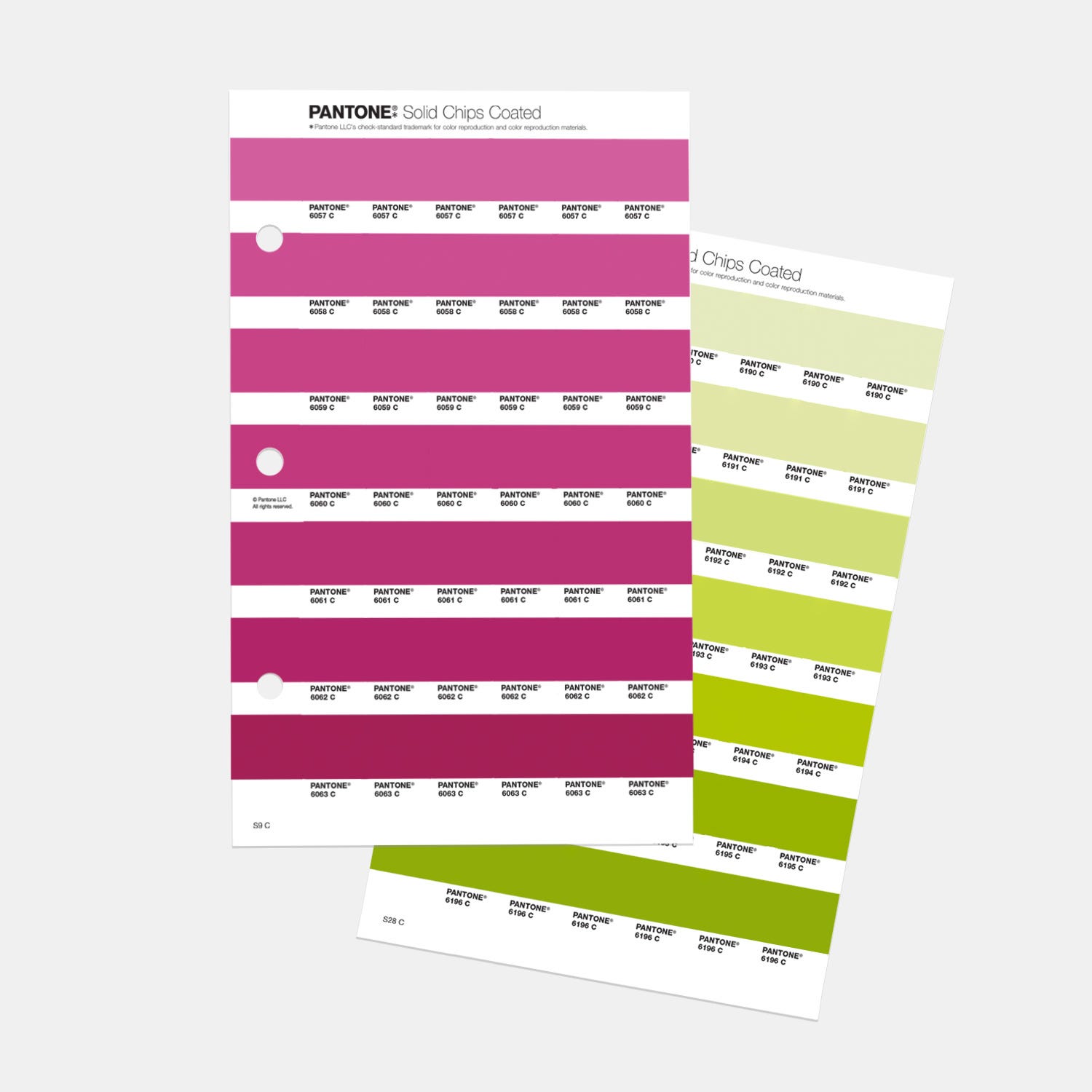 PANTONE® APAC | Solid Chips Supplement | Coated & Uncoated