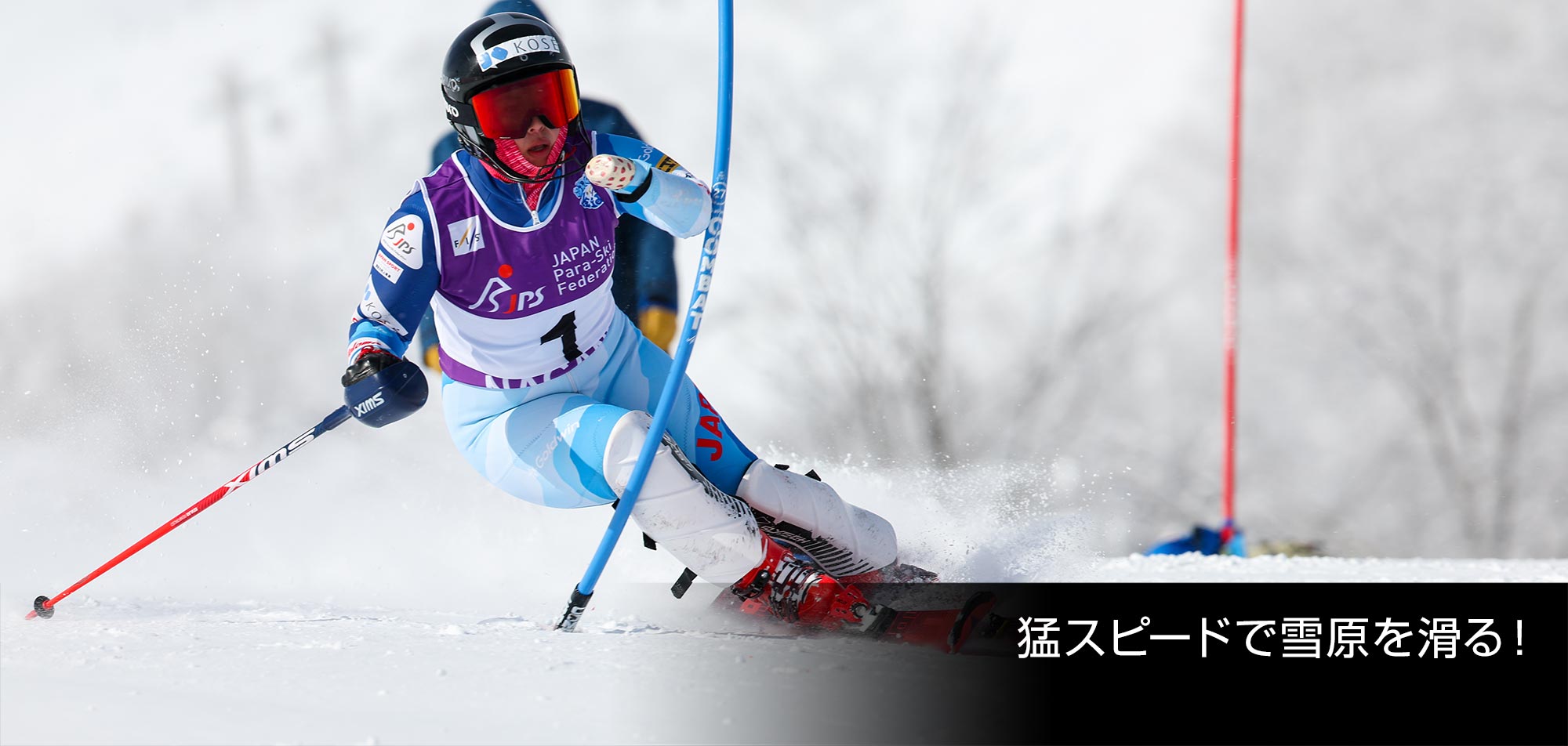 ホーム｜アルペンスキー｜ジャパンパラ競技大会