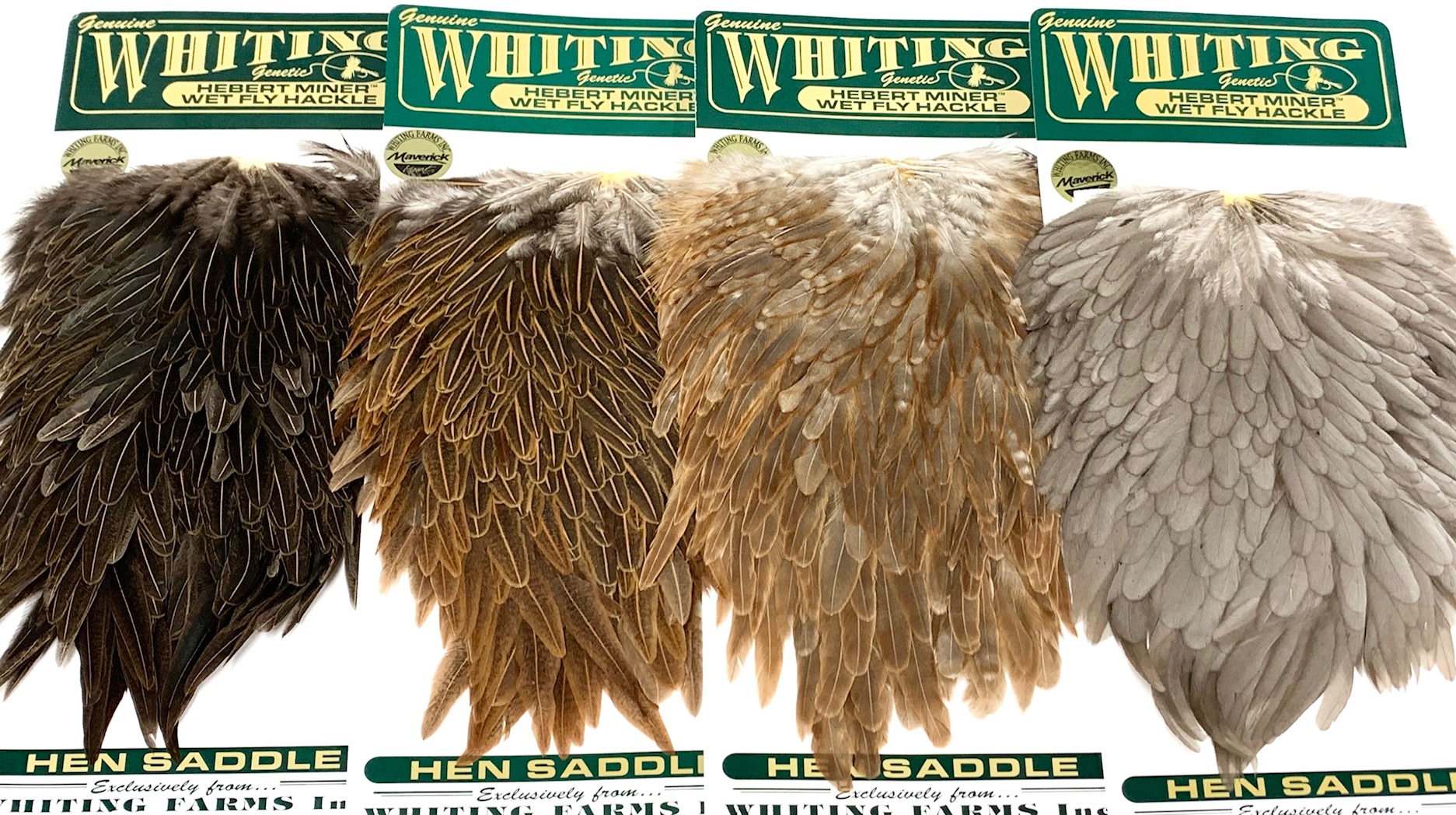 ヒーバート・ヘンサドル｜ParrMarkFly