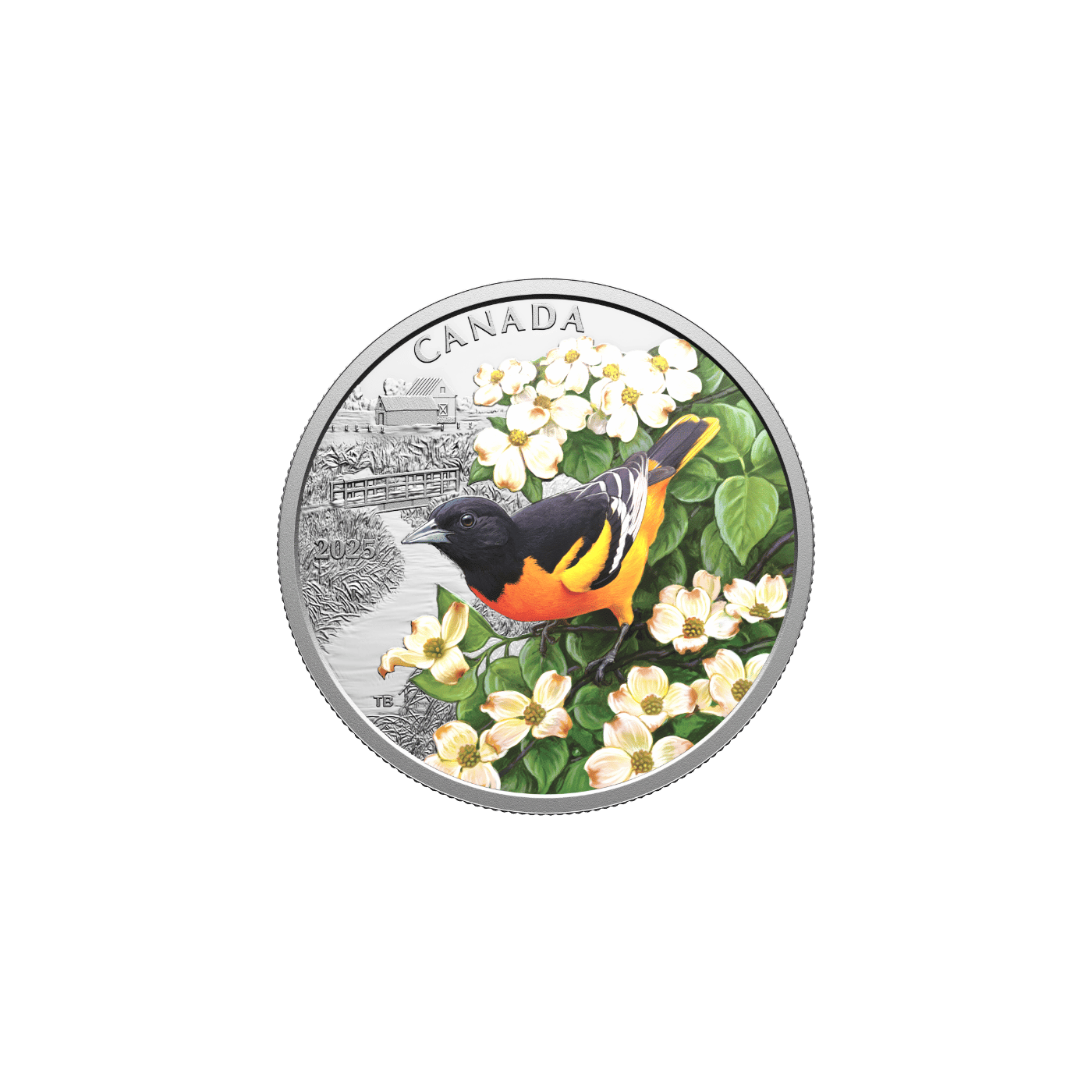 Colourful Birds Baltimore Oriole 1 Oz Fine Silver Coin Canada 2025