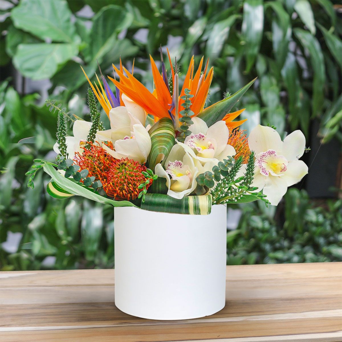 Mahalo - Flower Delivery NYC - Plantshed.com