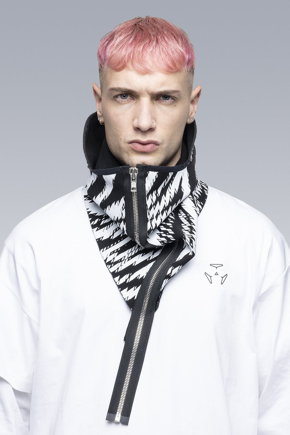 ACRONYM - NG4-PS - ZEBRA – PHAETON