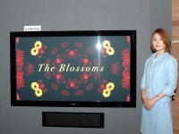 更新】パイオニア、9Gパネル搭載の“KURO”モニター「KRP-600M」を発売