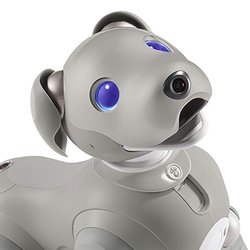 ソニー、“aibo”の2021年限定色『黒ごまエディション』。4色から選べる