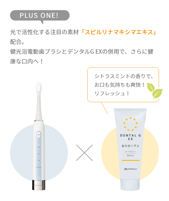 電動歯ブラシ|ファイテン 健光浴電動歯ブラシ｜製品情報｜ファイテン