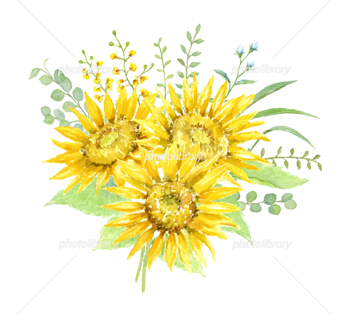水彩で描くひまわりと植物の花束 イラスト素材 [6295640] - フォト