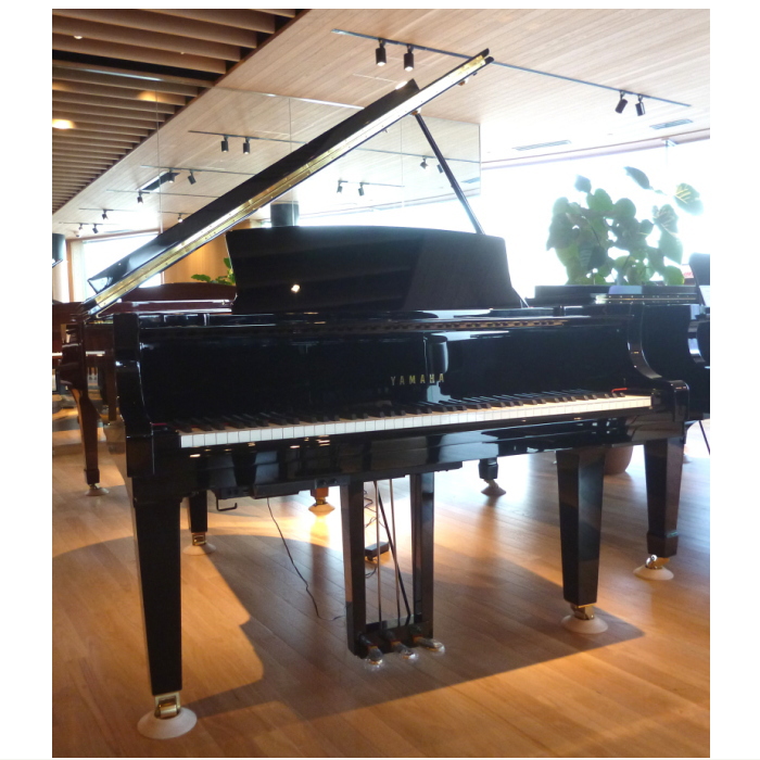 株式会社ピアノプラザ | DIAPASON 183E(1052)