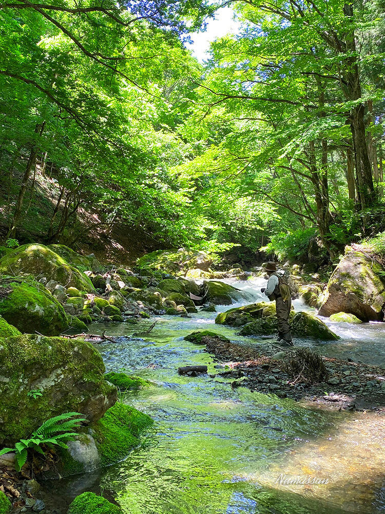 2024フライフィッシングの風景 | スタッフブログ | PICA ピカデザイン