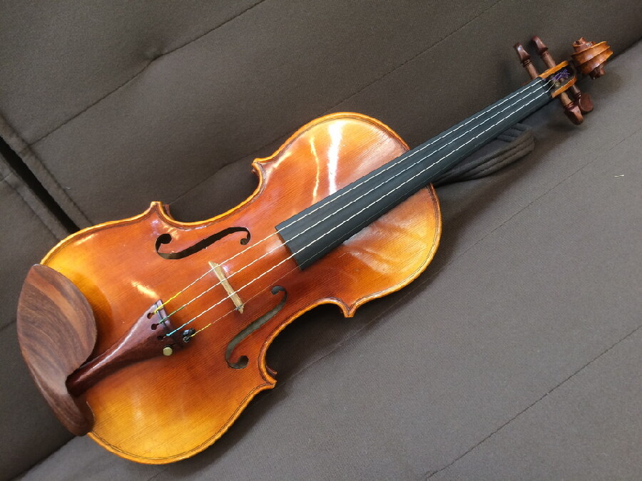 Valente バイオリン VN-60 入荷しました｜2024年09月12日｜静岡県の