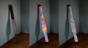 エレファント スキーカバー 入荷!! | ピステ・マジック オフィシャルサイト