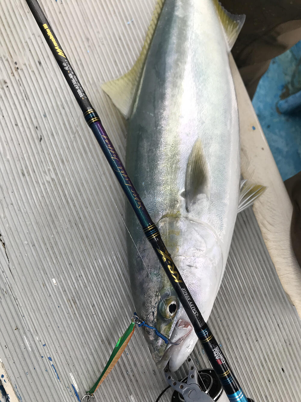 Salty Stage KR-X Super Light Jigging FS Special (ソルティステージ