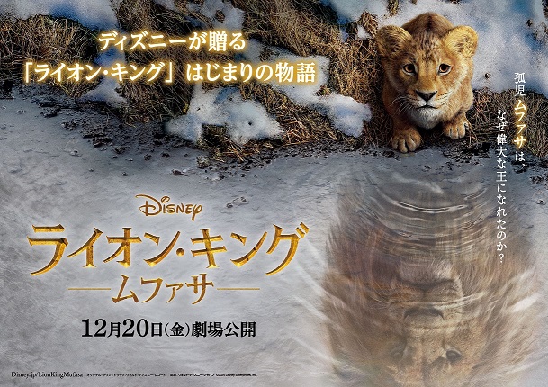 大阪・光の饗宴2024開宴式」をディズニー新作映画『ライオン・キング