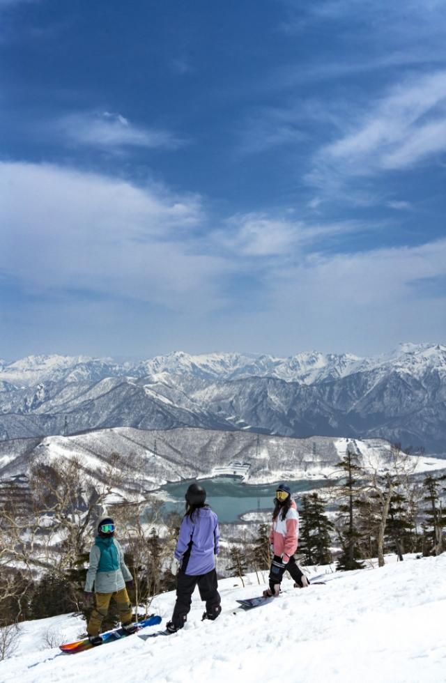 公式サイト | かぐらスキー場