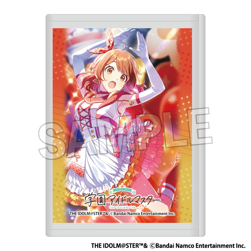 WS⁄学園アイドルマスター ヴァイスシュヴァルツ 学園アイドルマスター