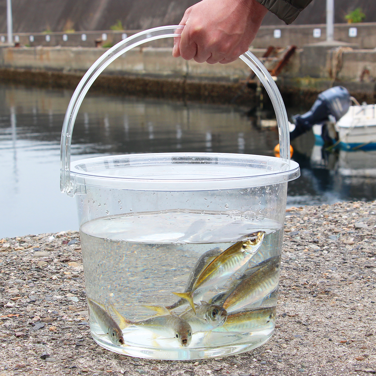 座れる超スケスケバケツ | 釣りをもっとお手軽に… -【公式】株式会社