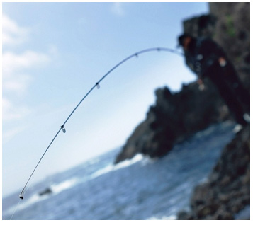 磯/磯釣り/磯ロッド（ダイワ）/○○2014○DXR METALTUNE(DXR メタル