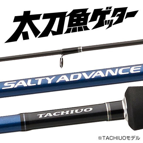 エギ/エギング/ロッド/ソルティーアドバンス（SALTY ADVANCE）
