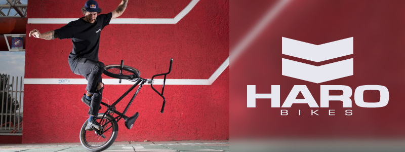 HARO BIKES（ハローバイクス） 2019年モデル BEASLEY 24 （ビーズリー24）