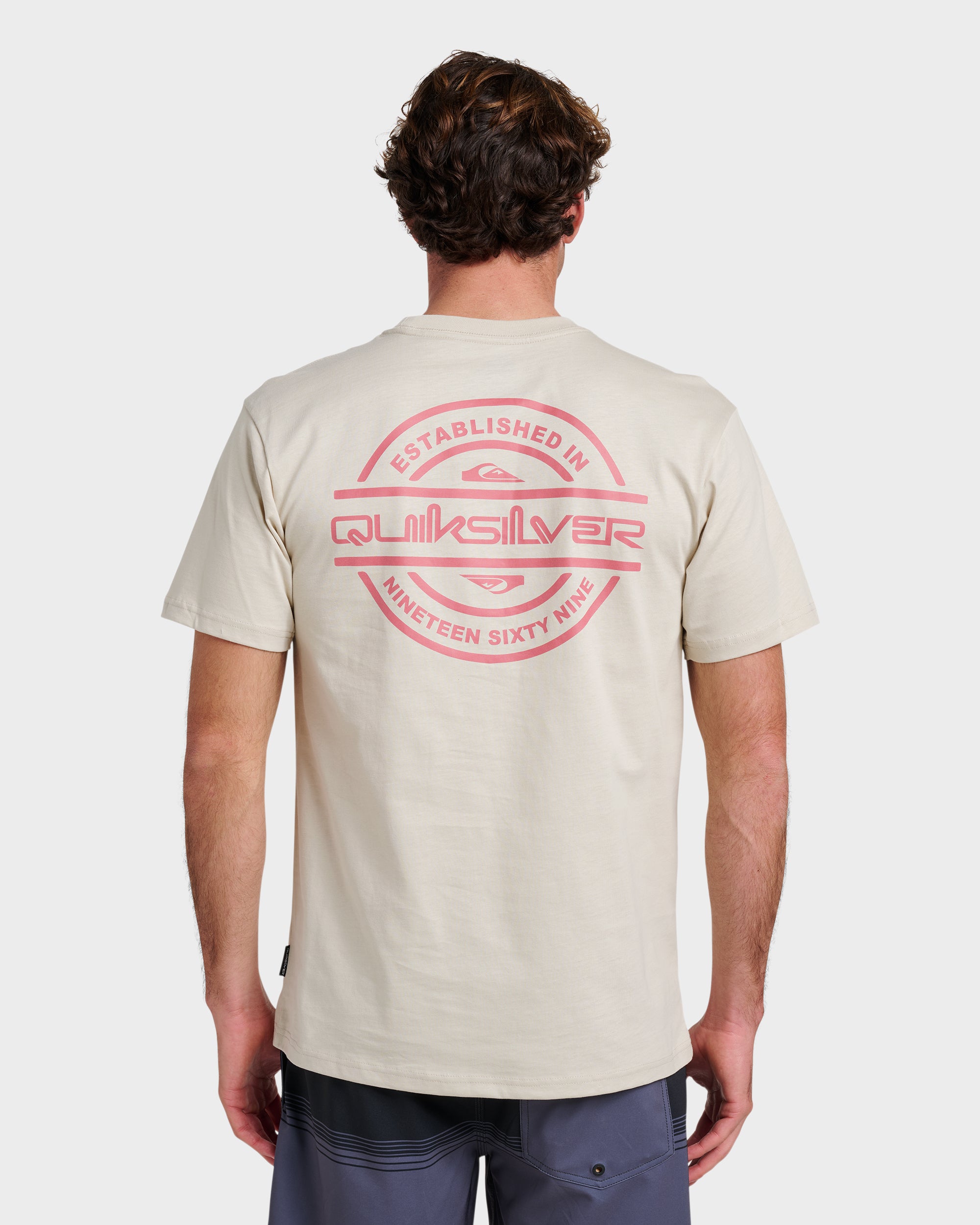 Mirrored Classic T-shirt - Moonstruck | Quiksilver